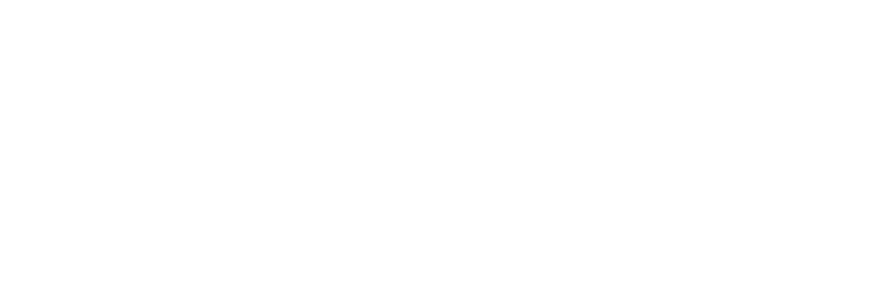 Dynasafe