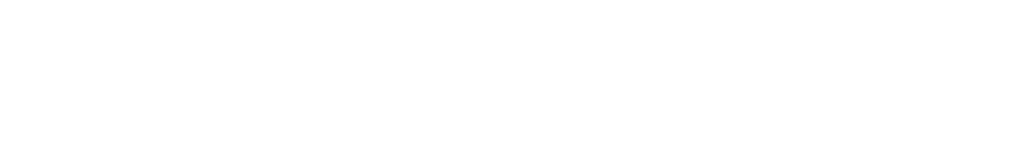 Mavig GmbH